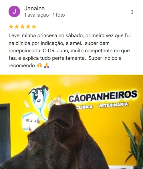 Avaliação real de tutor no Google