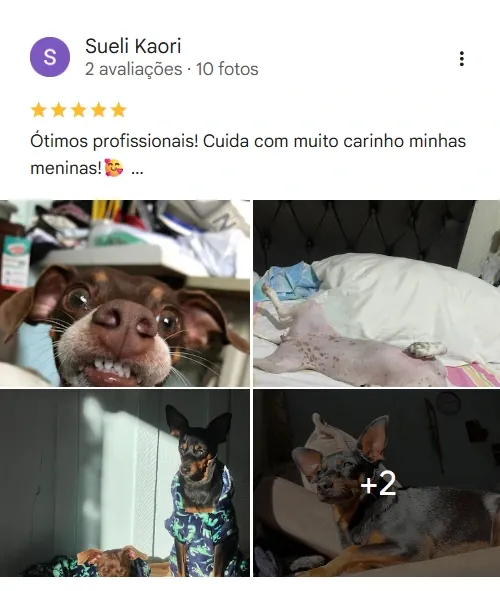 Avaliação real de tutor no Google