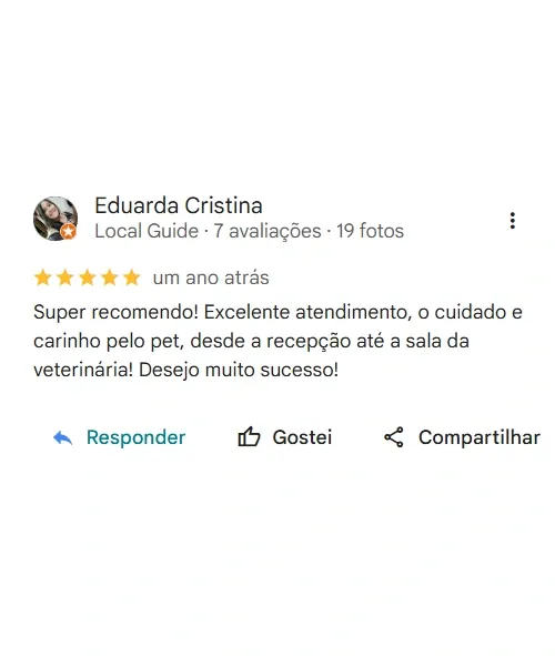 Avaliação real de tutor no Google