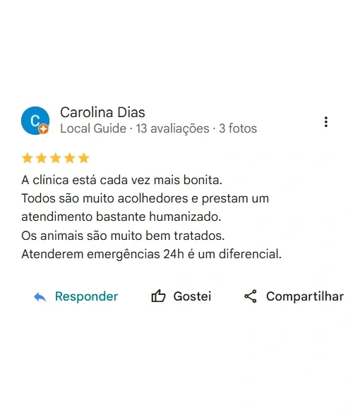 Avaliação real de tutor no Google